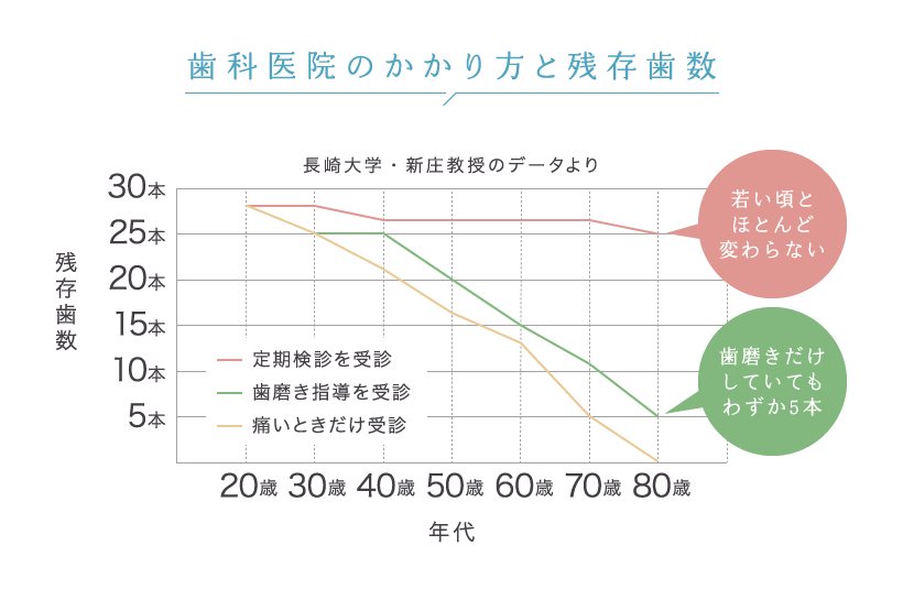 歯科医院のかかり方と残存歯数